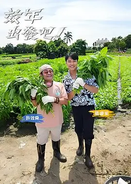 声浪计划